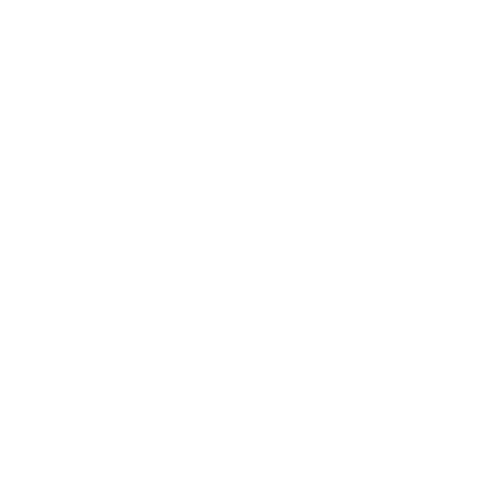 Pet Radiographs Icon