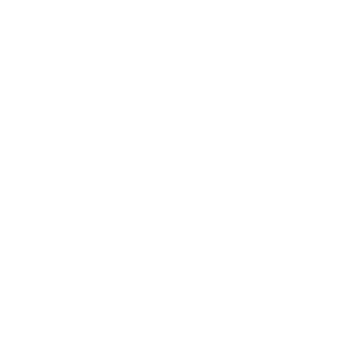 Pet Surgery Icon