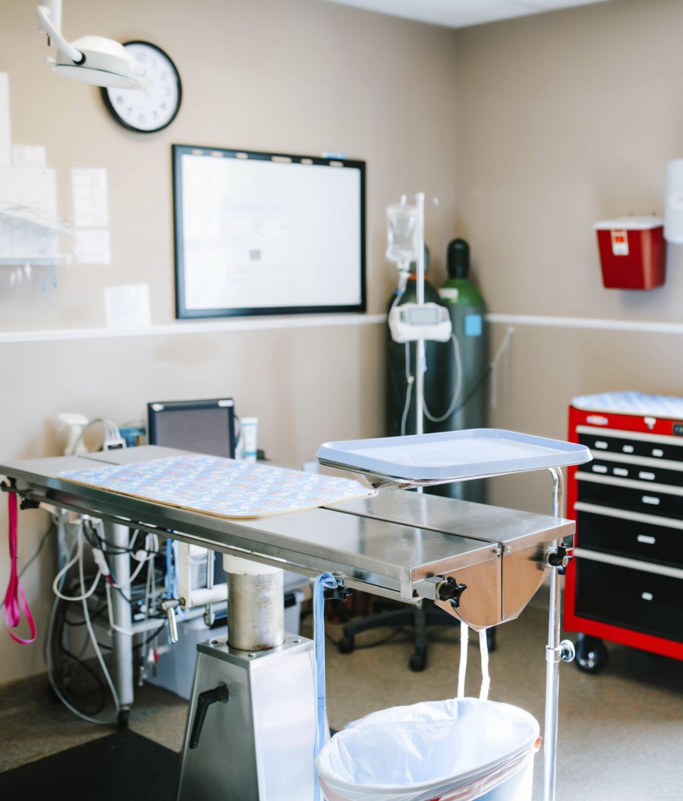 Surgical Procedure room at Fletcher Animal Hospital