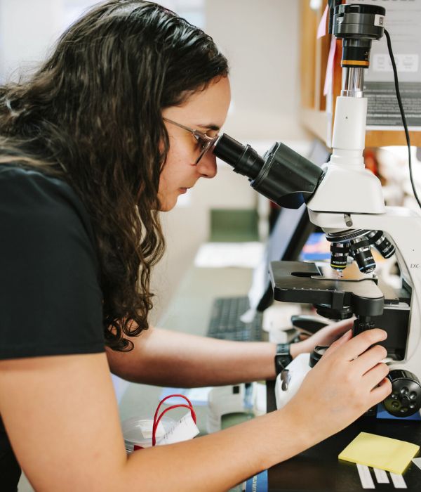 A vet staff examining a sample through a microscope