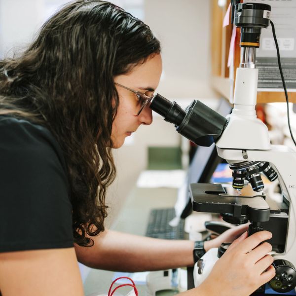 A vet staff examining a sample through a microscope