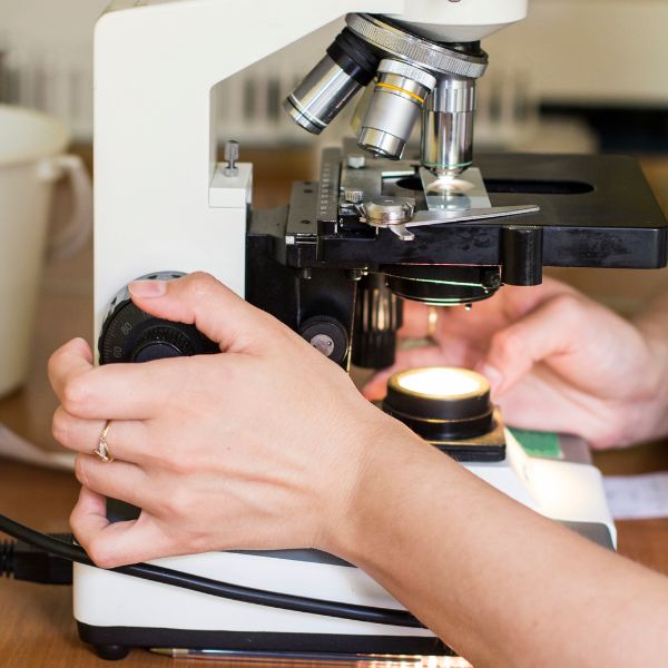 A vet staff testing sample under a microscope