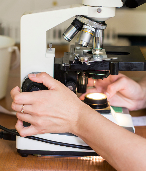 A vet staff testing sample through a microscope