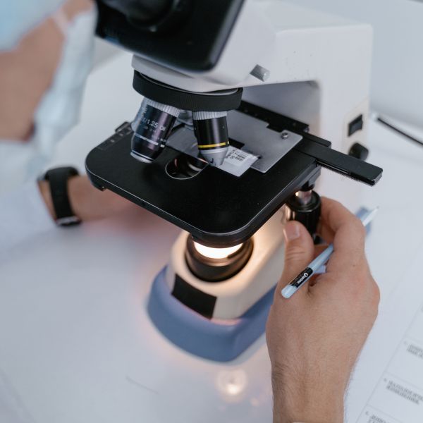 A vet staff examining sample under microscope