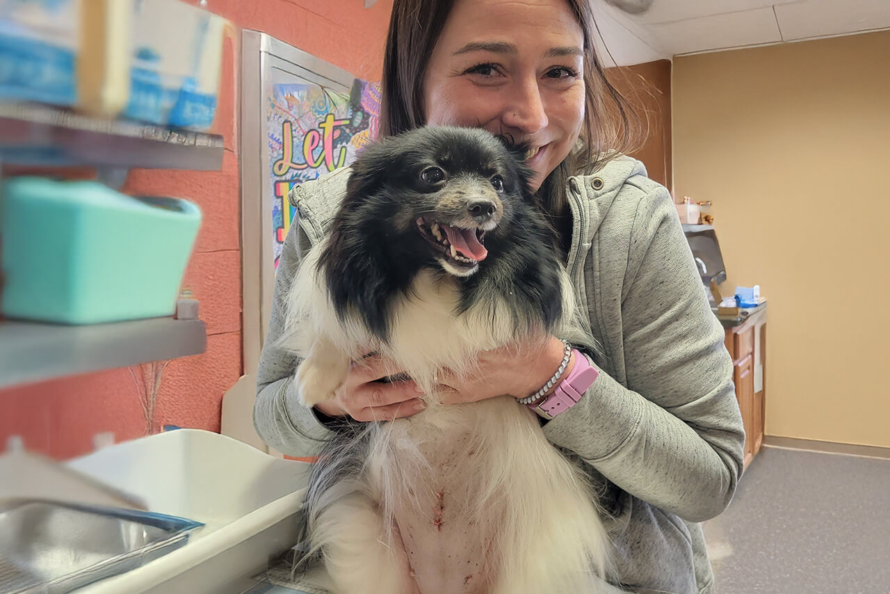 woman holding a black and white dog