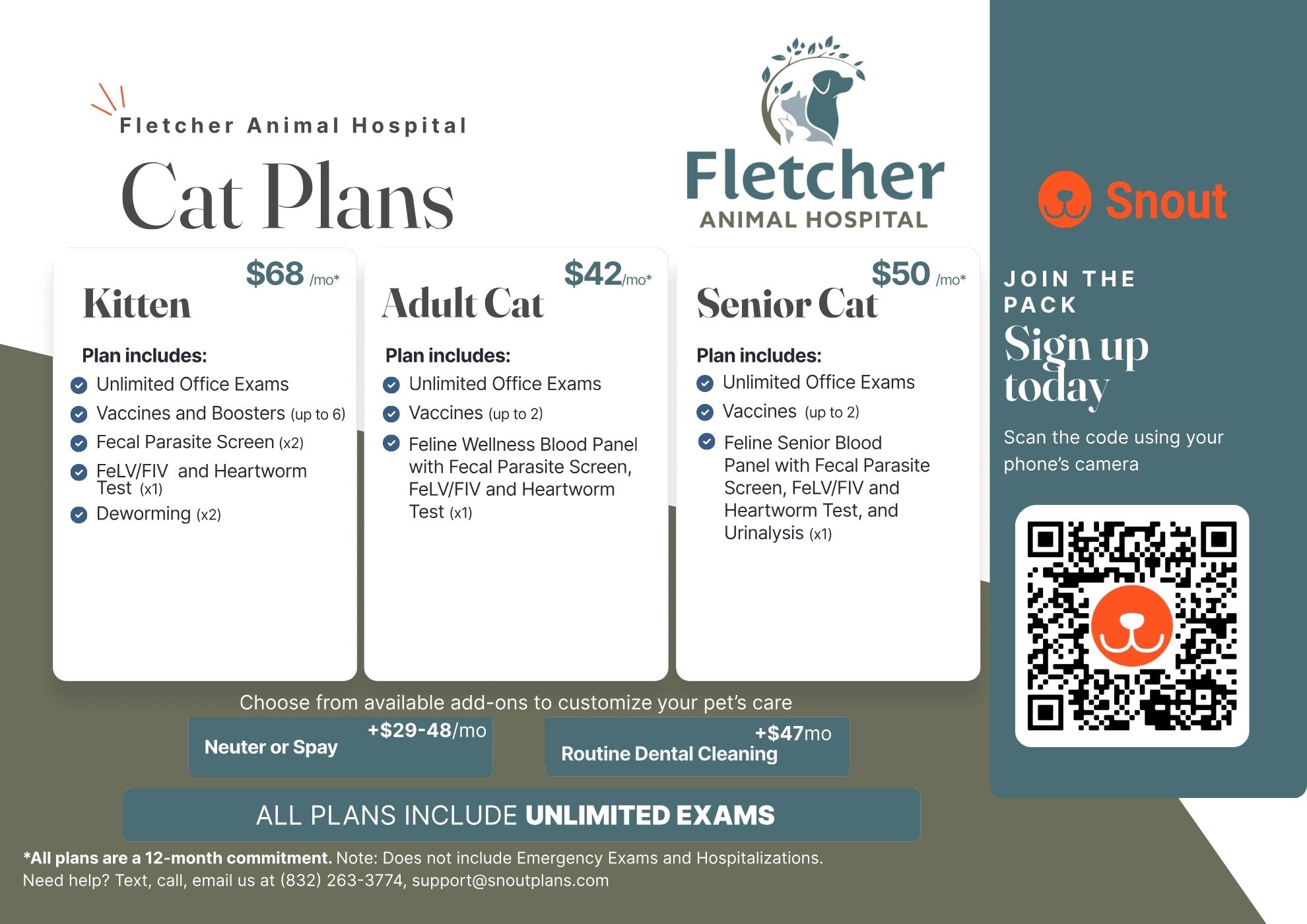 Fletcher Animal Hospital Cat Postcard Image